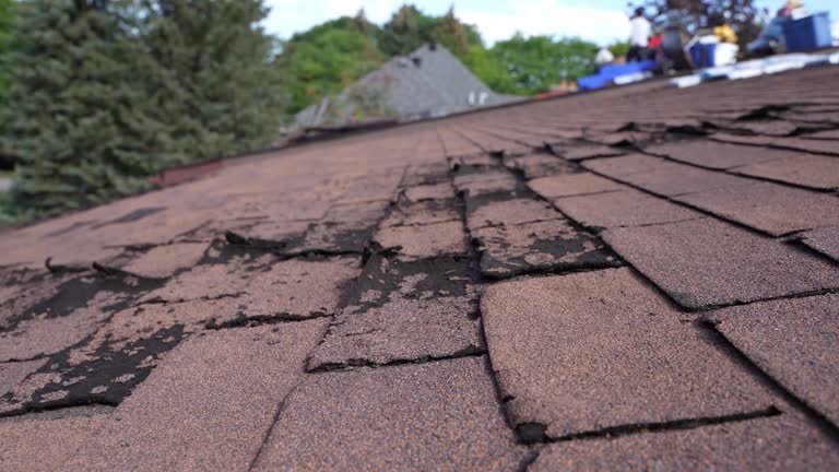 Best Storm Damage Roof Repair  in Adairsville, GA